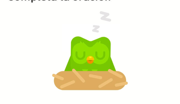 duolingo durmiendo B)